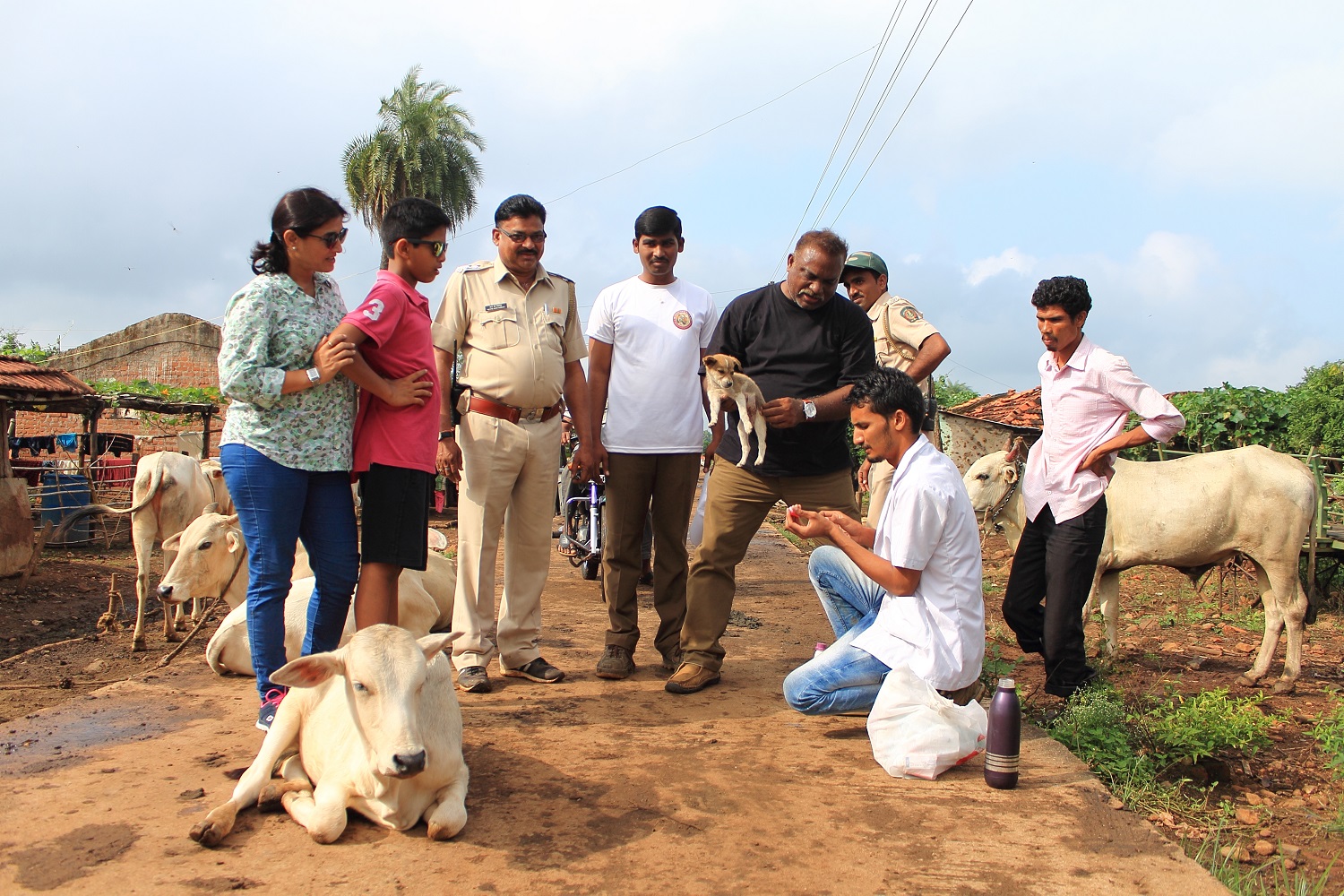 You are currently viewing Himalayan Explorers initiatives in Tiger Conservation ( Vaccination Program)