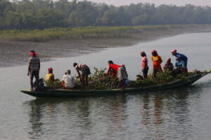 Read more about the article National Tiger Census 2021 Sunderban Tiger Reserve (West Bengal)